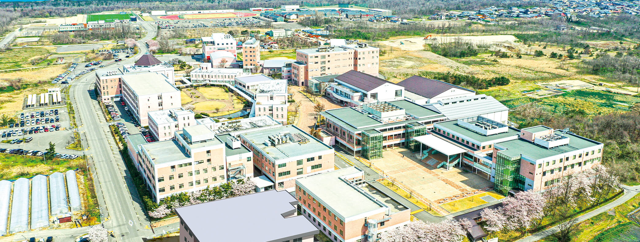 キャンパス全景写真